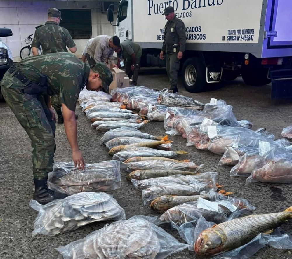 Golpe al tráfico de fauna íctica: incautan más de 700 kilos de especies protegidas en Ituzaingó