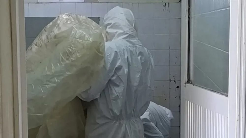 Hallaron un caballo muerto en el baño de una escuela en el interior