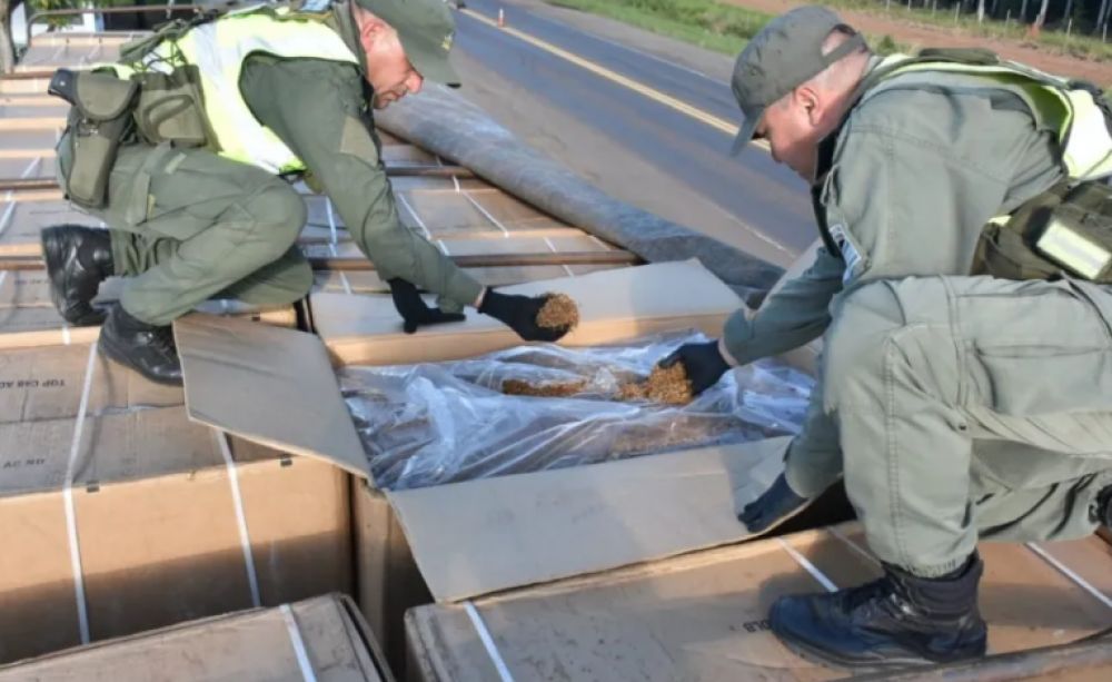 Decomisaron más de 21 toneladas de tabaco picado en el interior de Corrientes