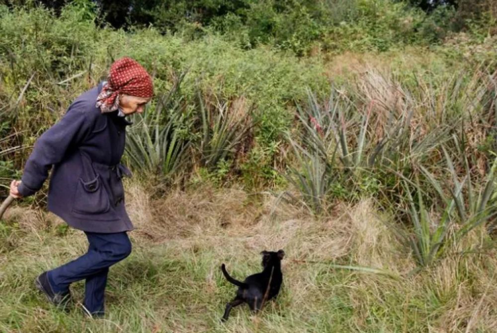 Según su abuela, a Loan lo atropellaron y lo enterraron