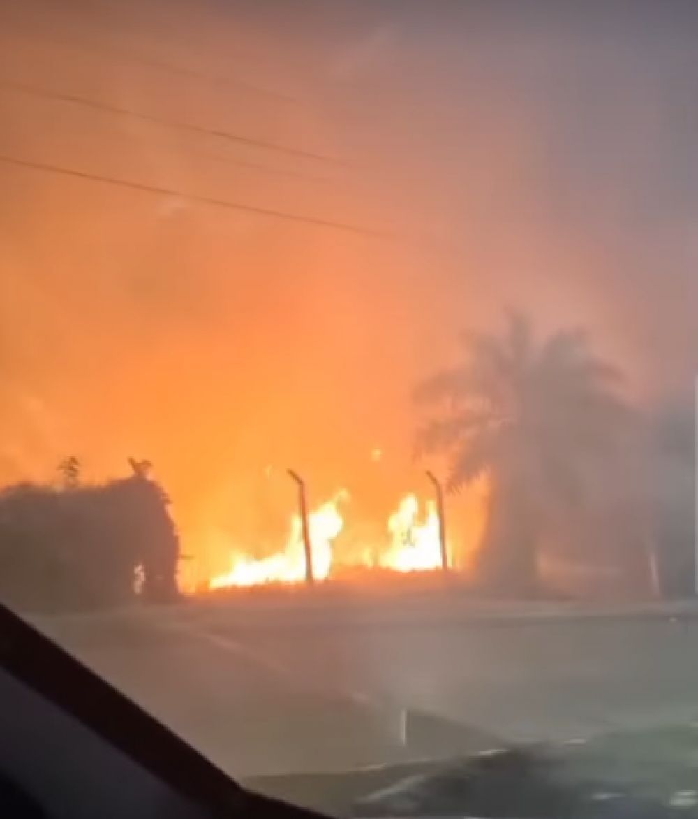 Bomberos sofocaron un incendio en el predio del Jardín Botánico