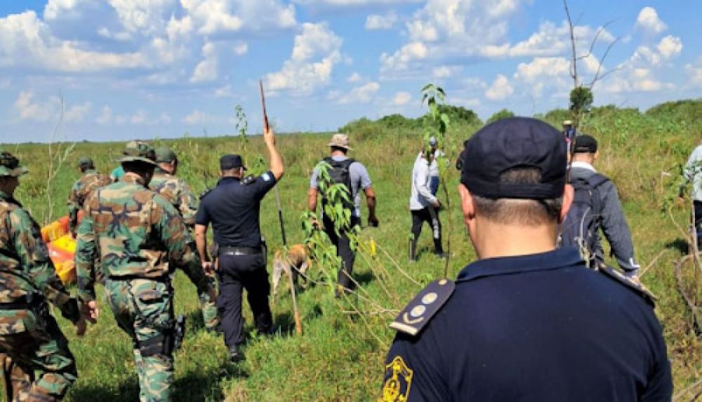 Localizan con vida a una persona perdida en área rural