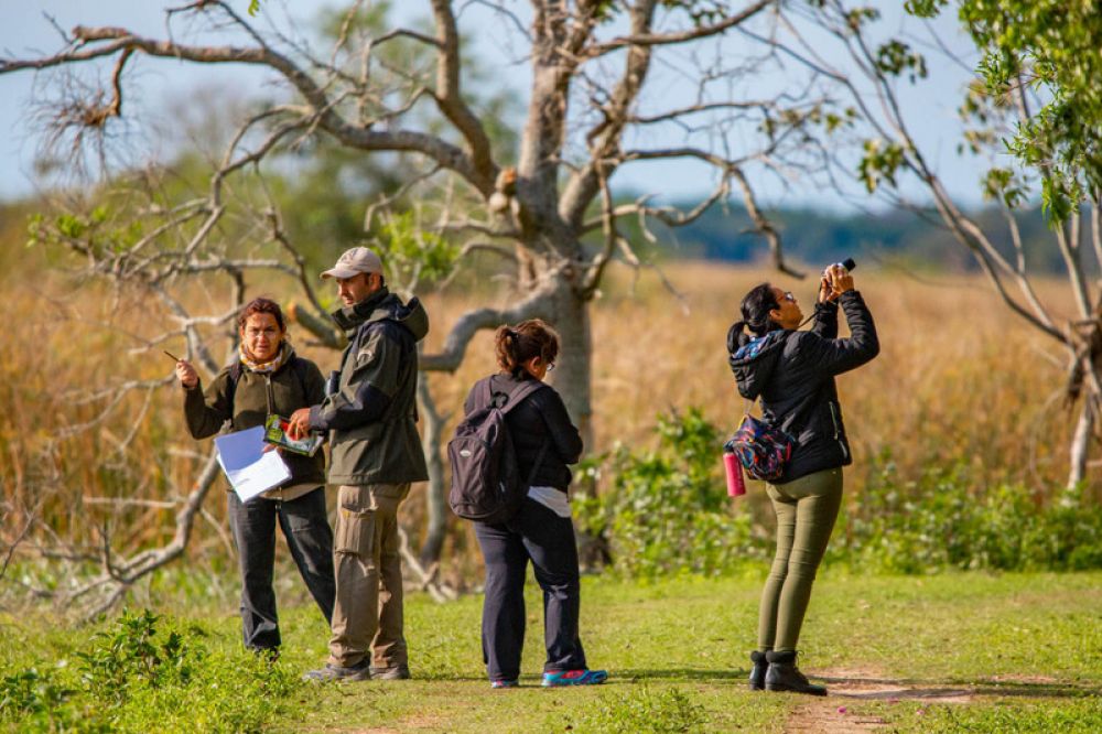 El Iberá duplicó el número de turistas en 10 años
