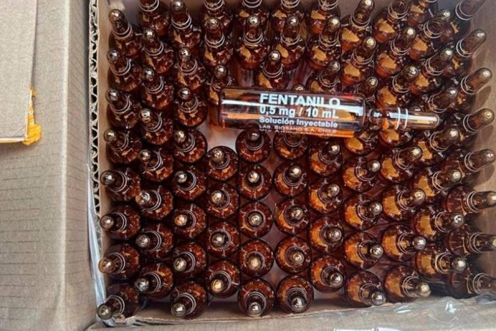Fentanilo: médico explicó por qué puede ser mortal