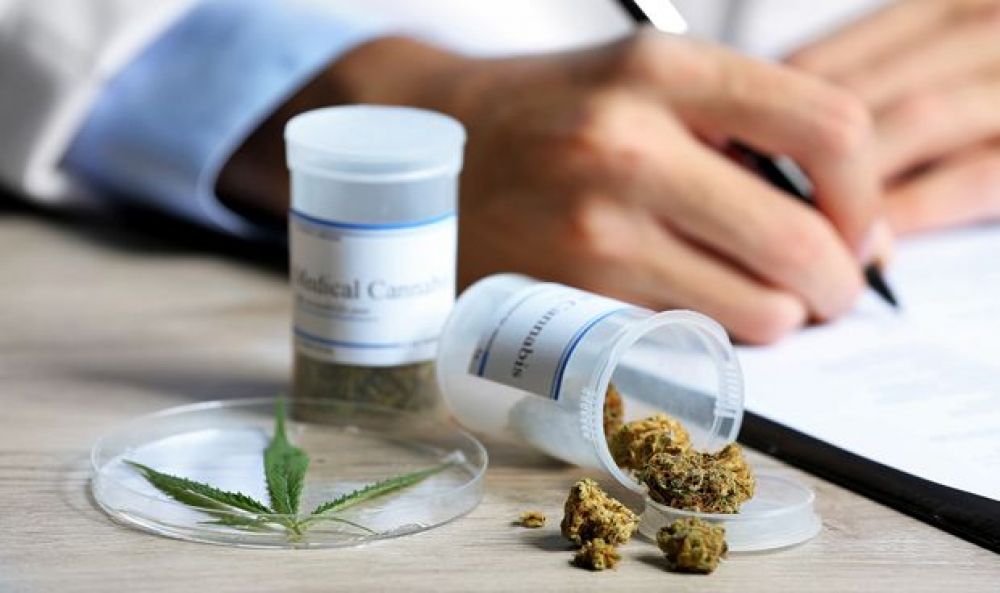 Cannabis medicinal: el Gobierno modificó los requisitos para inscribirse