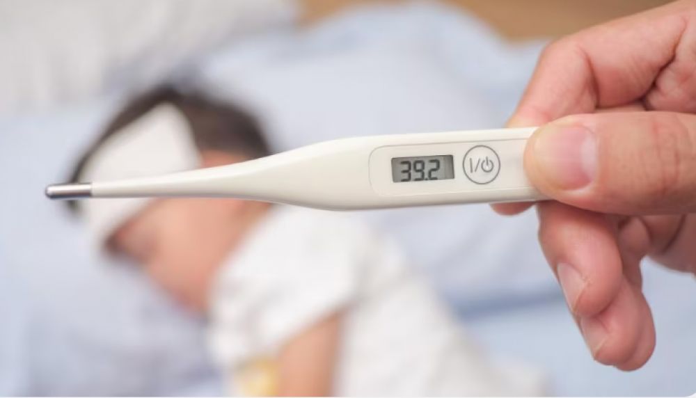 Especialista advierte sobre la fiebre tifoidea y la importancia del agua segura