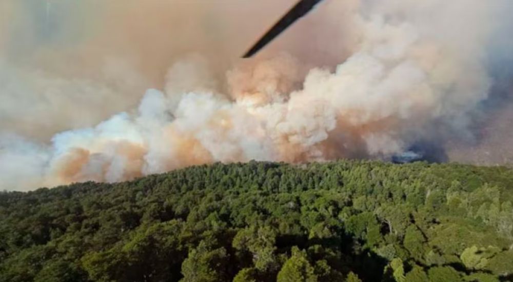 La Sociedad Rural apoyó el proyecto del Gobierno para agravar las penas de quienes provoquen incendios