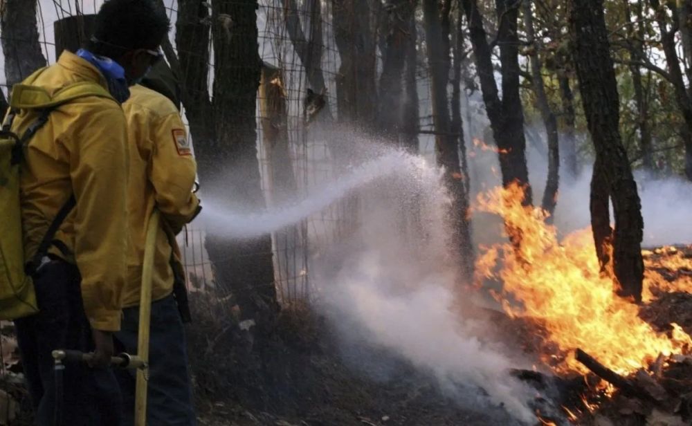 Buscan agravar penas para quienes provoquen incendios