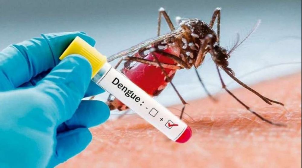 Advierten que subirán los casos de dengue en la Argentina