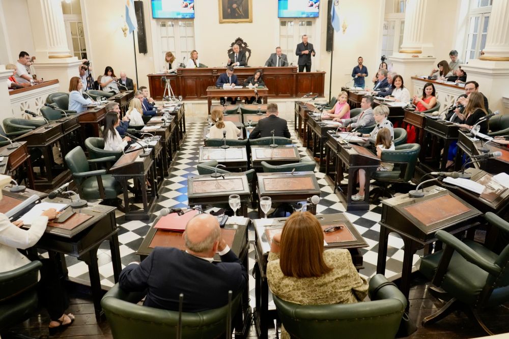 Por unanimidad, se aprobó la ley provincial para abordar la endometriosis