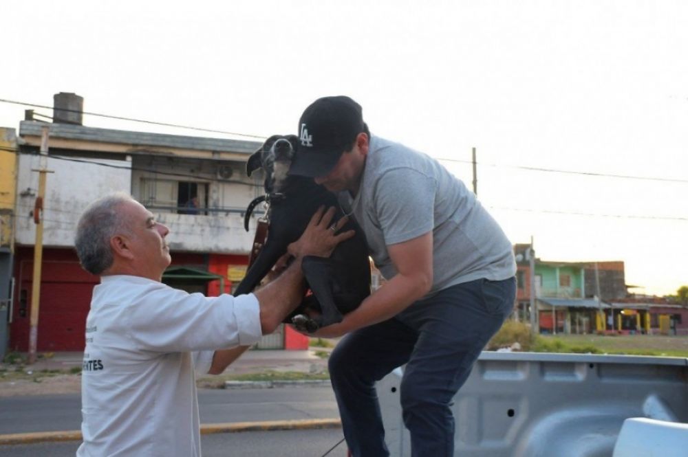 Maltrato animal: a qué números llamar cuando se detecta un caso