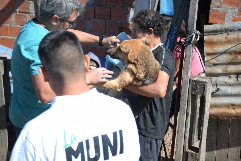 El Municipio actuó ante un caso de maltrato y rescató a un perro herido