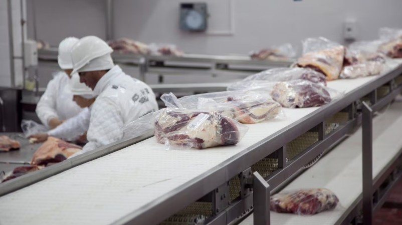 El acuerdo Mercosur-UE empieza a aplicarse: proyectan un aumento del 80% en las exportaciones argentinas