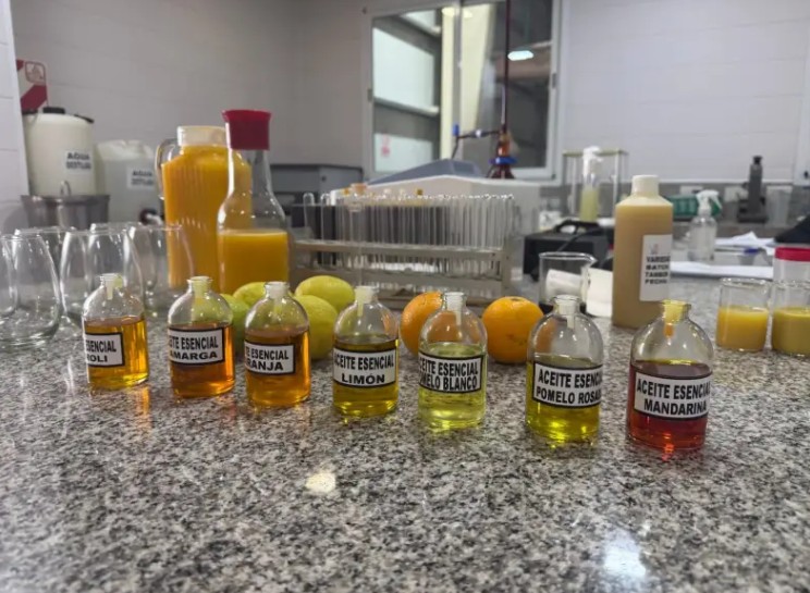 El limón impulsa exportaciones millonarias en Corrientes