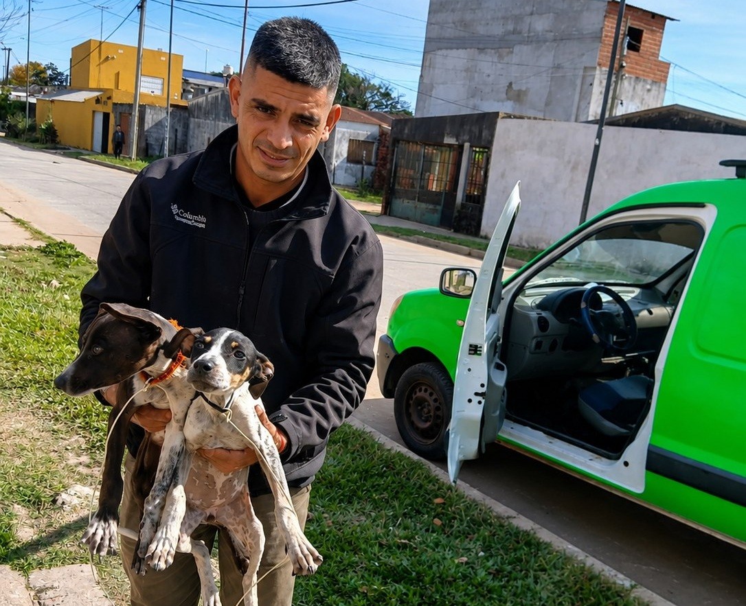 El Municipio rescató dos cachorros desnutridos tras una denuncia en el barrio Jardín
