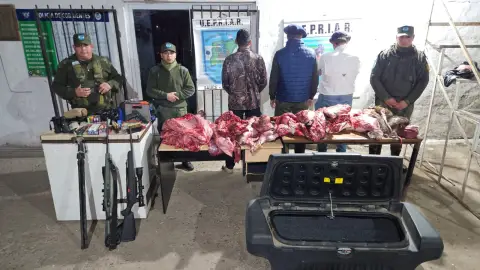 Tres hombres demorados por trasladar en un freezer un ciervo axis y un chancho salvaje sin autorización