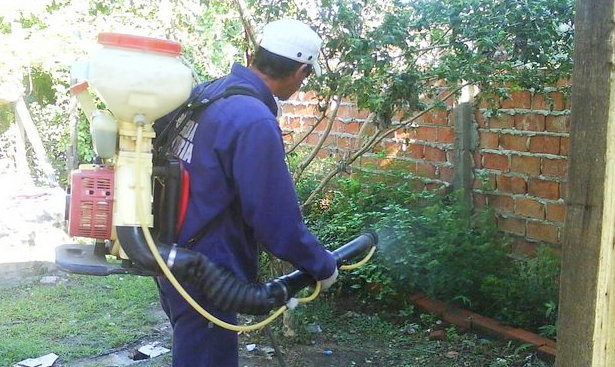 Ganarle al dengue: piden no bajar la guardia con los posibles criaderos