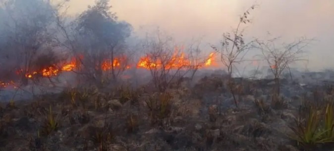 Los intensos vientos provocaron focos ígneos en zonas rurales de Santo Tomé