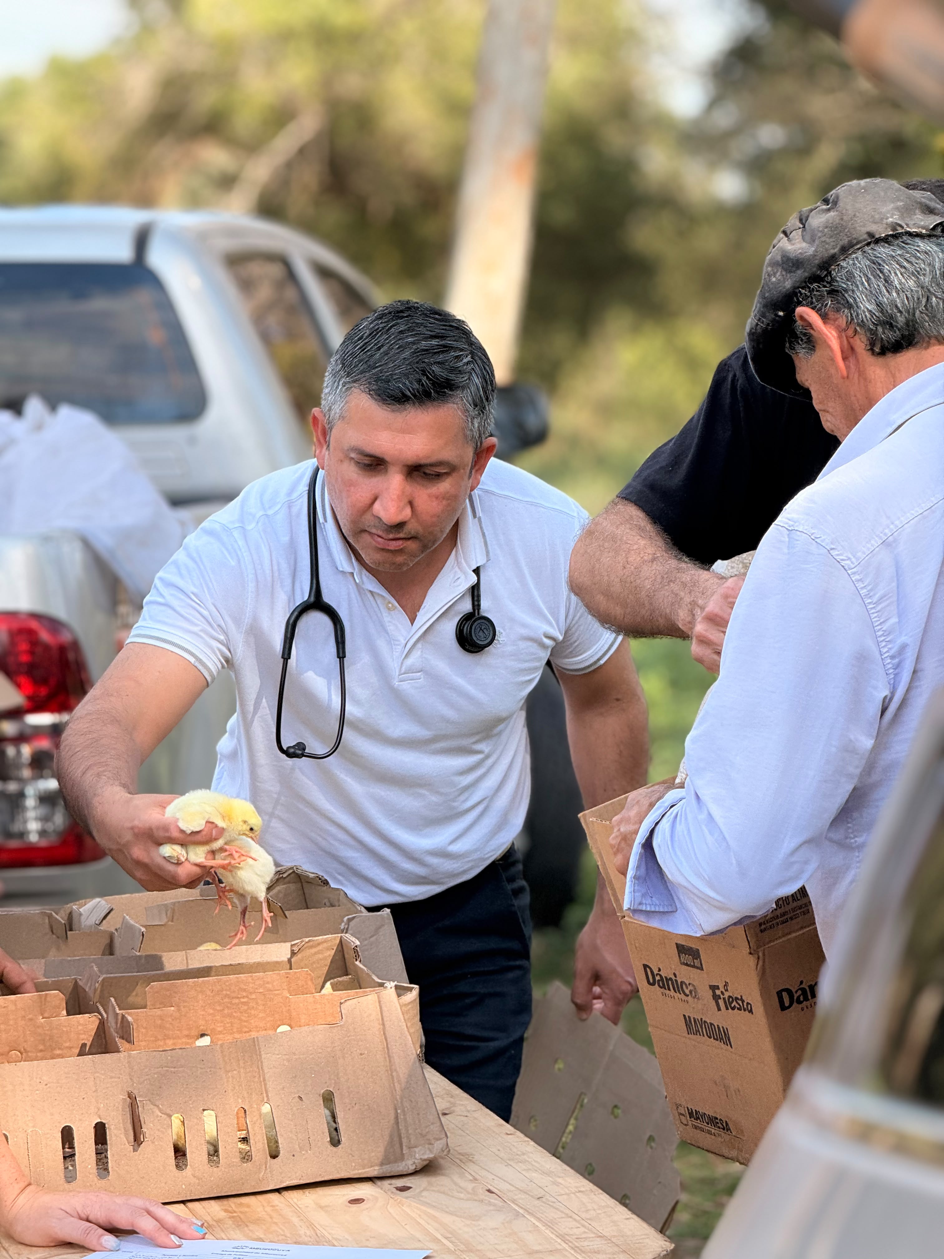 Más de 400 familias de Mburucuyá se sumaron al programa de cría de pollo
