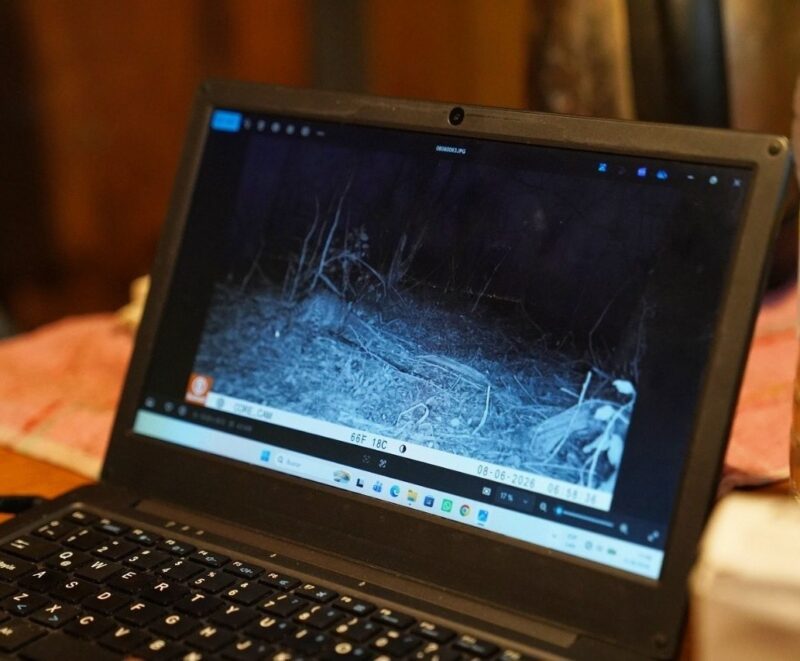 Nuevas cámaras registran la fauna en la Reserva Santa Catalina