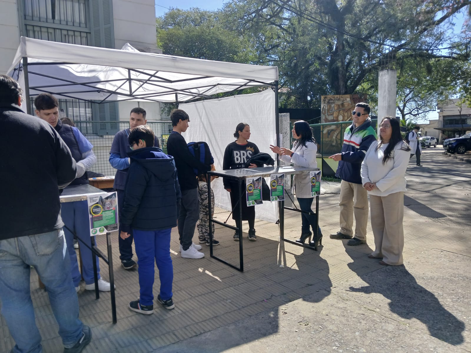 Vacunas para mascotas: veterinarios destacan campaña gratuita contra la rabia